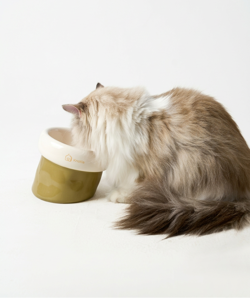 Elevated Ceramic Pet Bowl