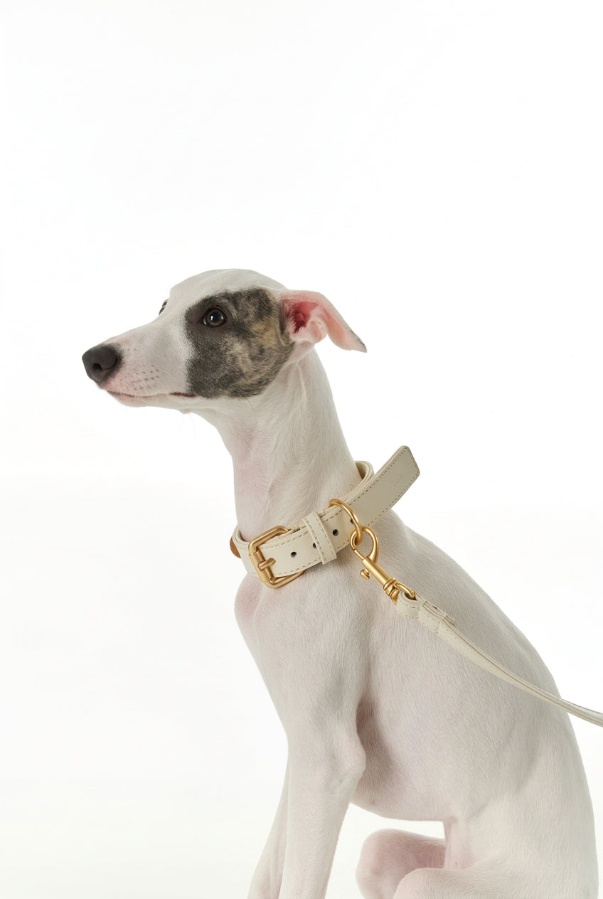 Solid Wood Handle Leather Dog Leash