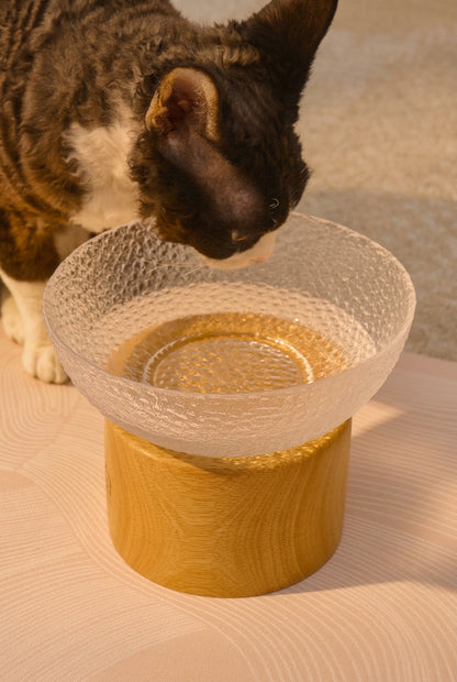 Solid Wood Elevated Pet Bowl Set