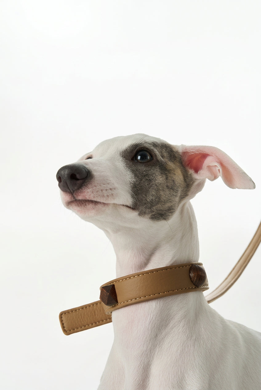 Solid Wood Handle Leather Dog Leash