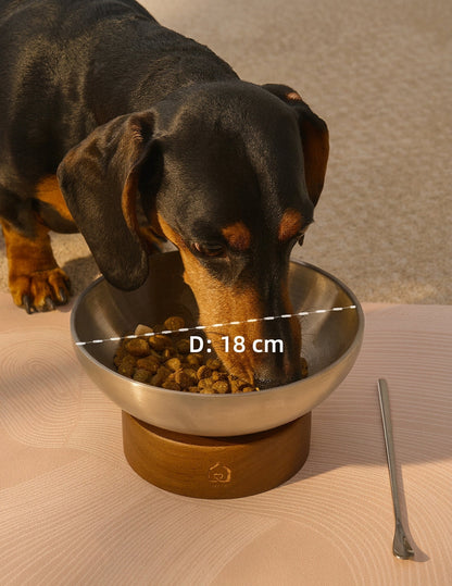 A dachshund eating from a large stainless steel dog bowl with a wooden base on a light wood table. The image includes a text overlay showing the bowl diameter as 18 cm, along with Chinese promotional text at the bottom.