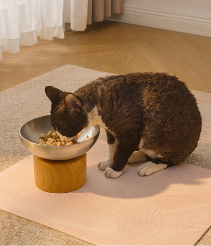 Solid Wood Elevated Pet Bowl Set