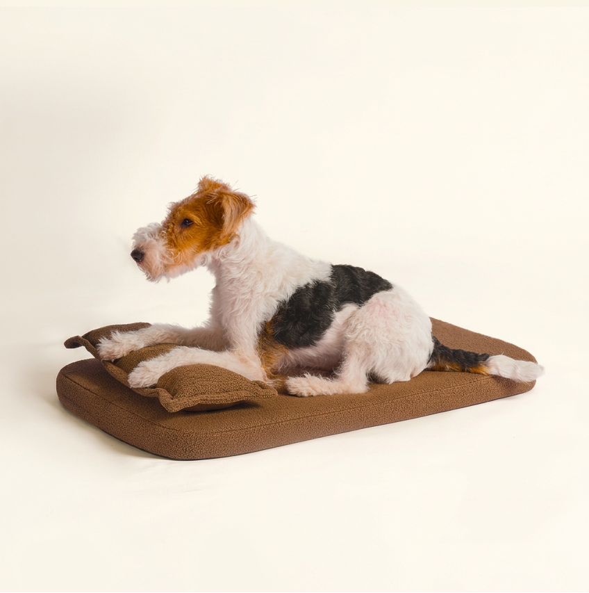 Removable and Washable Pet Leisure Mat Set