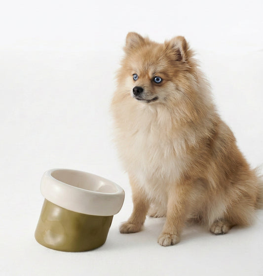 Elevated Ceramic Pet Bowl