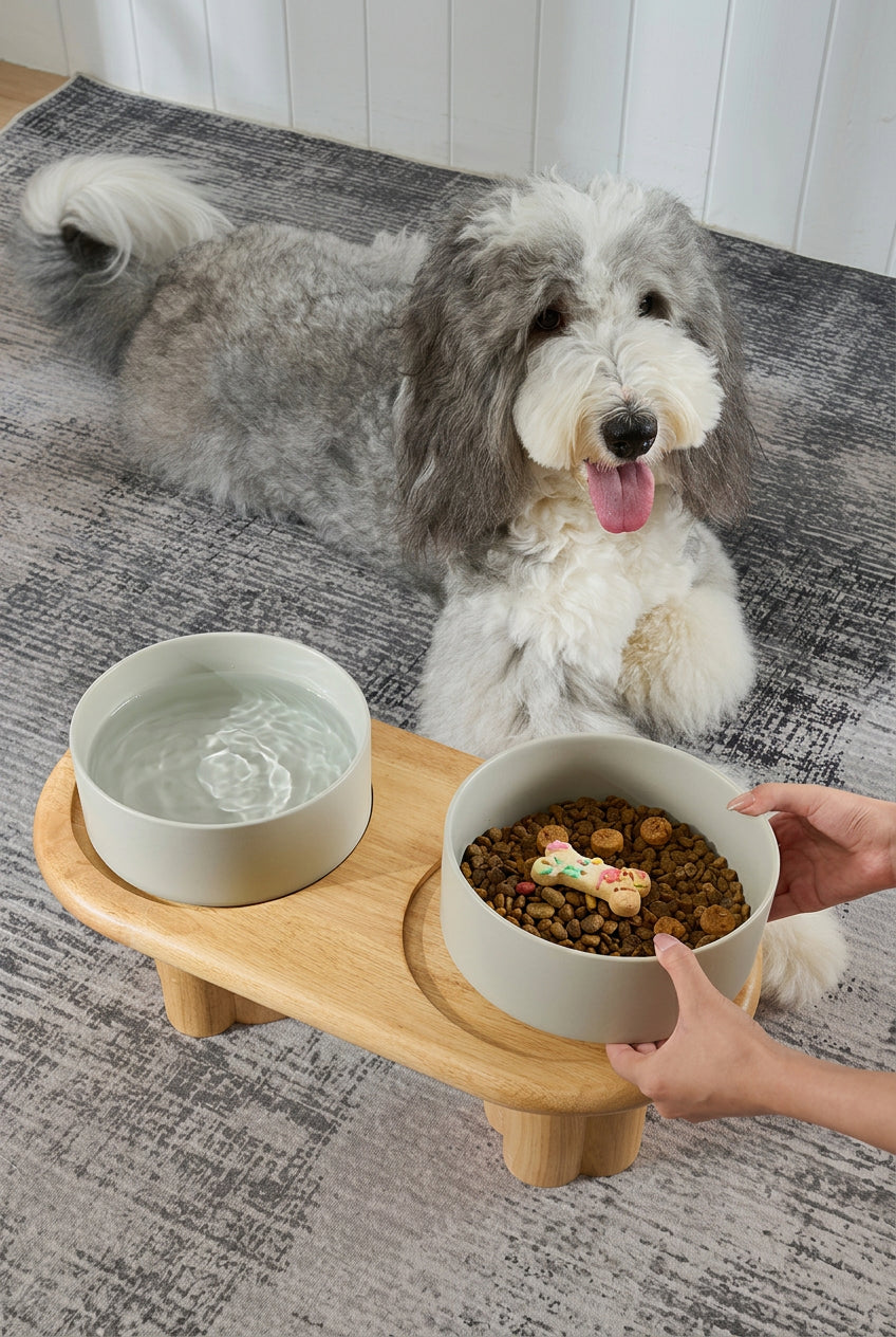 Solid Wood Elevated Dog Dining Table