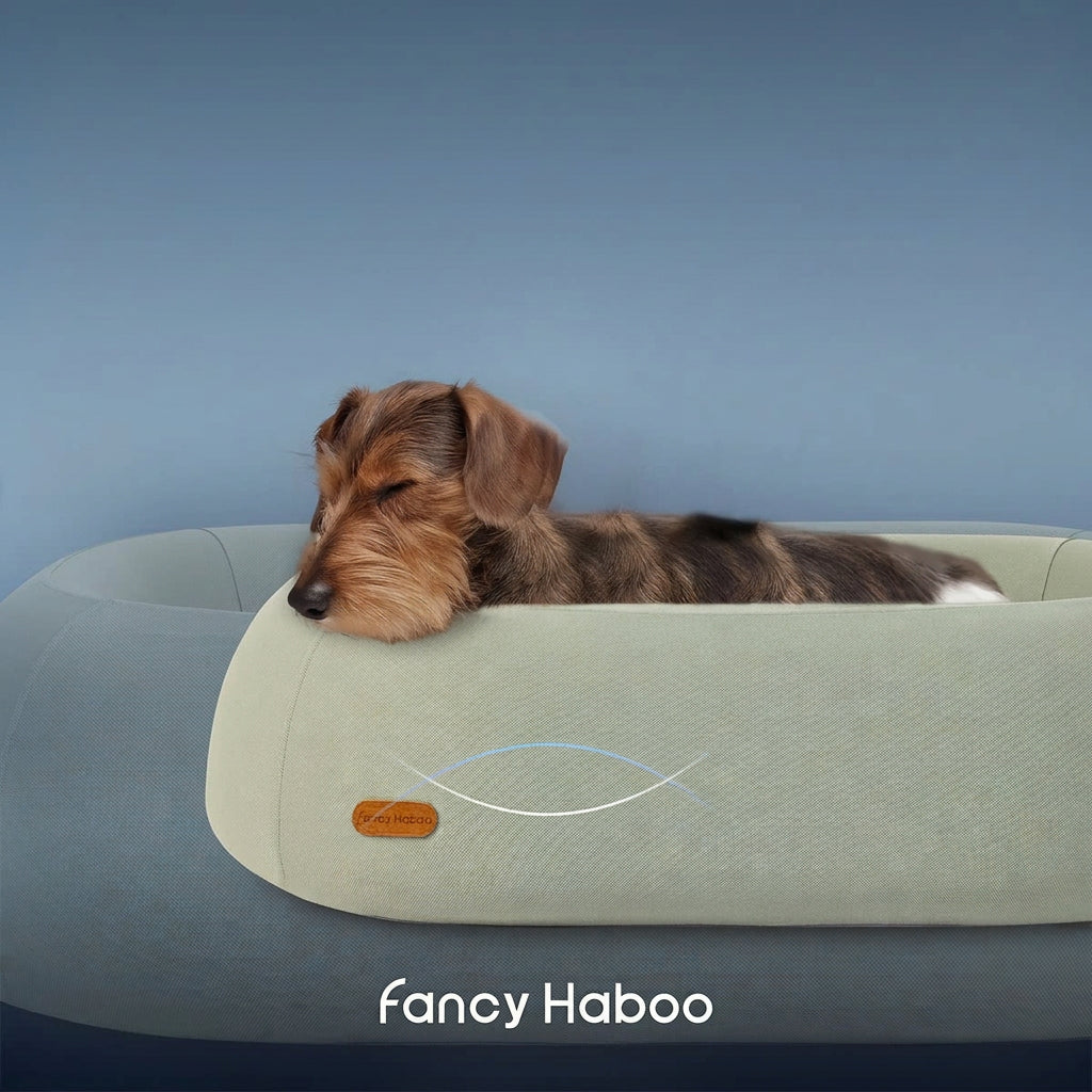 High Rebound Washable Pet Bed