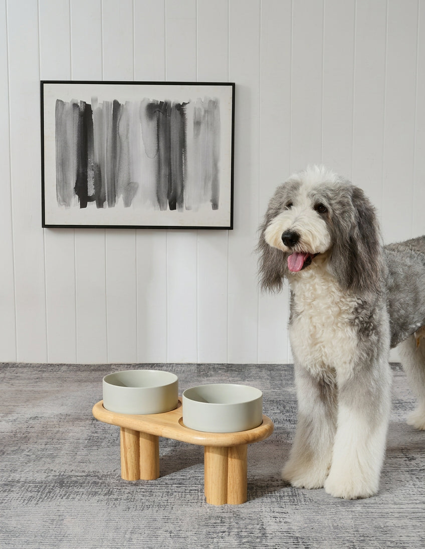 Solid Wood Elevated Dog Dining Table