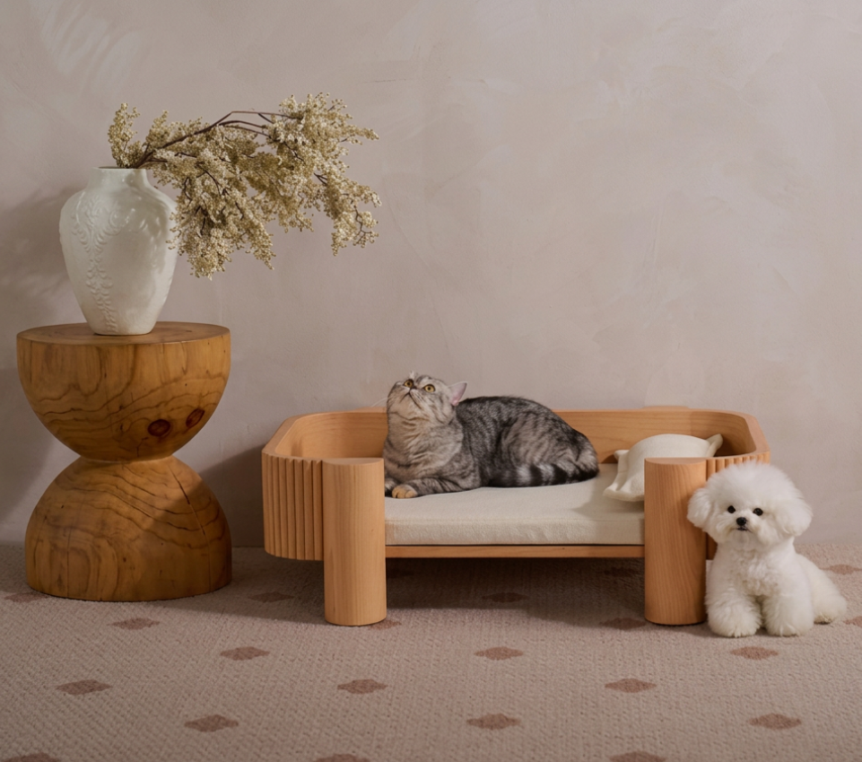 A promotional graphic for Knotia featuring a cozy home scene with a gray tabby cat resting on a wooden pet bed and a small white dog toy beside it. The scene is set against a warm beige wall and patterned rug, with decorative dried flowers in a vase on the left.